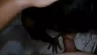 مضاعفة المرح: فعل رباعي إباحي