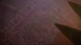 افامسكس