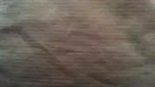 بيجو لايف جامح: تجميع جنس جماعي للهواة