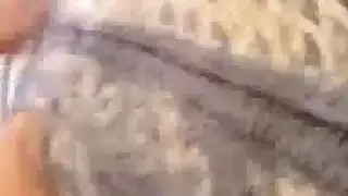 زب مراهق يهاجم الكس في فيلم منزلي صريح