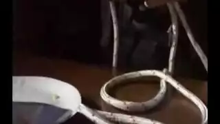 بنتي تنيكني