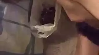 ديك قديم مُدرَّب على الجنس الطائع