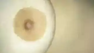 أيه خلف ولارا ديابلا