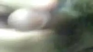 يلديز تشاغري
