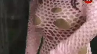 فيديو خاص لأرملة شقية لعب كس وأنين