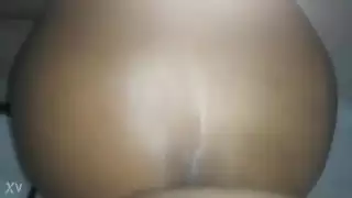 الصفحة الرئيسية شعر مصبوغ غير محلوق