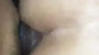 صور ذب صور شيميل