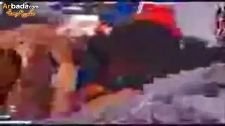 لوسى ومحمد شرف