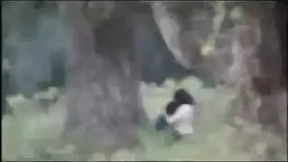 سكس مجموعة بنات وعيال في حديقة الجامعة