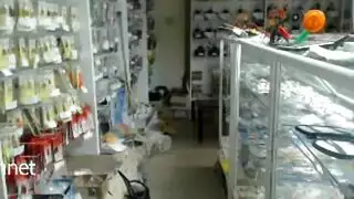 مديرات مثليات في جنس مكتبي صريح