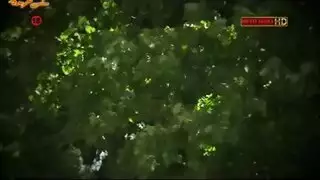 بداية شرجية: مشهد الجنس الجماعي الأول في قناة مورجان