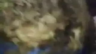 نيك خلفي مصري قديم